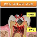 그림치과기공소 이미지