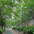 경로공원 공중화장실 이미지