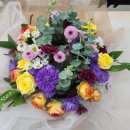 힐링원예지도사 이미지