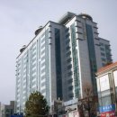 삼라마이다스 이미지