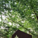 천주교연신내성당 북카페 | 충남 여행 공세리 성지 공세리 성당 ( + 충남 여행지 모음 )
