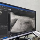 레오메디칼 이미지