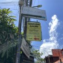 가우리 GAURI 이미지