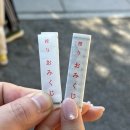 [오사카-교토여행] 내돈내산 라쿠투어 솔직 자세 후기(+꿀팁):: 커플 여행 2일차 : 여우 신사, 산넨자카...