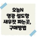 오늘N 영광 설도항 수산물센터, ‘신성호’ 새우젓 파는곳 연락처