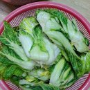 경동아이스(얼음) 이미지