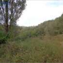 대구지방법원 영덕지원 이미지