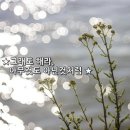 해라 이미지