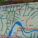 영월-72 Daum카페