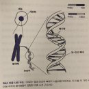 나만의 도서 리뷰 : 위대한 과학 고전 30권을 1권으로 읽는 책