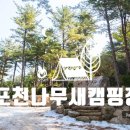 나무다캠핑장 이미지
