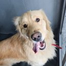 이천동물복지센터 이미지