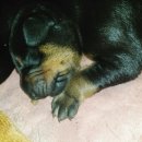도도 - 동대문구 전농로38길 8-1 | 도도