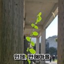 만해사