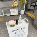프리미엄 펫토리 이미지