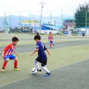 백암다목적운동장 이미지