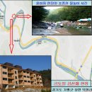 강산애 이미지