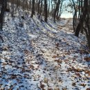 군자봉주유소 이미지