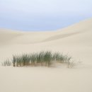 자연 NATURE 이미지