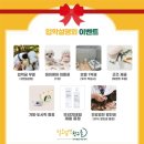 털로덮인친구들 용인죽전점 이미지