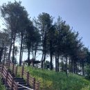 성봉경로당 이미지