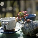 풍경찻집 이미지