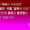 척추관절재활MSR메디센터 이미지