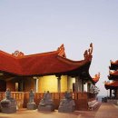 메디코퍼 이미지