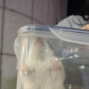 한마음종합동물병원 이미지