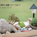 담쟁이 교육 & 치유 농장