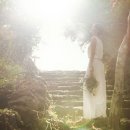 박효주 카카오 검색결과