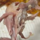 번쩍피자 영등포점 이미지