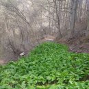 미래농장2 이미지