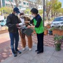 빈센트 이미지