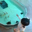 현대수족관 | 미아 현대백화점 아쿠아 스페이스 수족관 아기랑 구경할만한 팝업 정보 후기