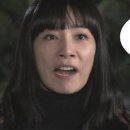 차칸 이미지