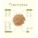 힐데스 | "힐데스그레인 파로스펠트" 후기