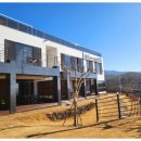 포레스트 173 이미지