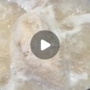 동서울영계백숙