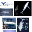 (주)알비노 이미지