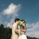 연일플라워 이미지