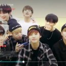 스니스니 이미지