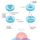 비전경영컨설팅