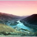 섬진강봄소식 이미지