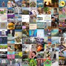 타이어 포 유 | 인기 블로그 포스팅 모음: 매일 상위 랭크의 인기 블로그 게시글 모아! (2025.07.08 13:16)