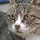 서명공인중개사사무소 이미지