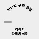 링크늘푸른동물병원 이미지