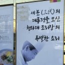 보람동맛집 청와삼대 세종시청점 | 세종 칼국수 맛집 방문 후기