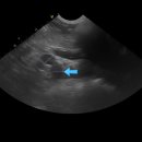 24시예스동물병원 이미지