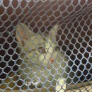 오주동물병원 이미지